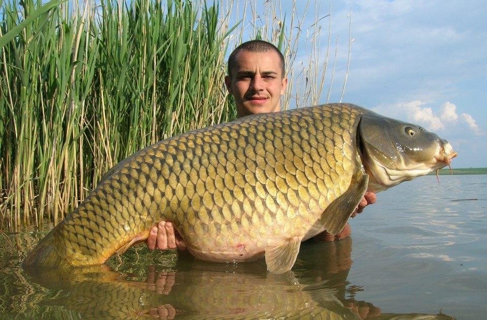 VIDEO. Cum abordam o balta noua? Imagini cu Bogdan Dragan, campion mondial.